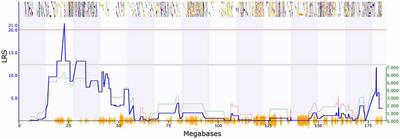 A Cross-Species Systems Genetics Analysis Links APBB1IP as a Candidate for Schizophrenia and Prepulse Inhibition